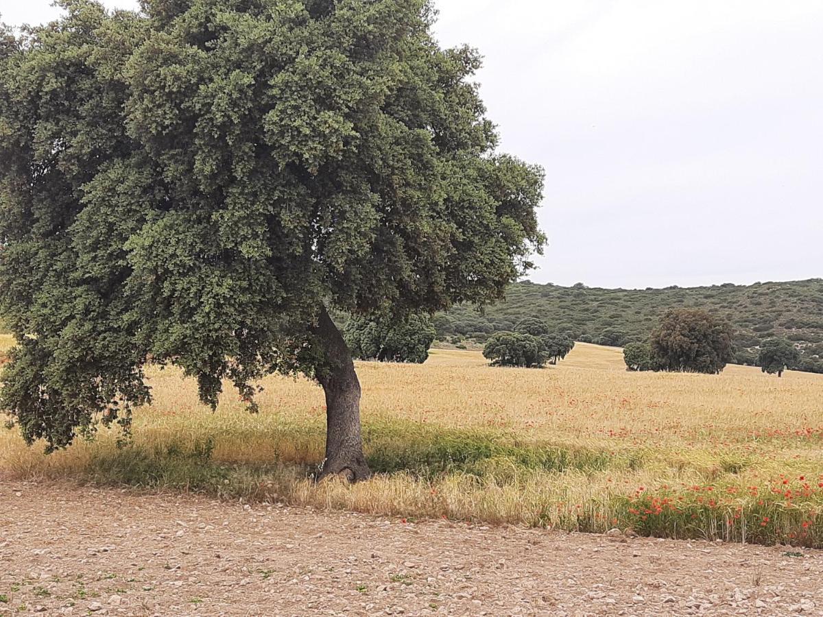Affittacamere La Cachumba Ruidera Esterno foto